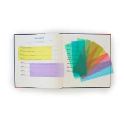 HOPTOYS Outils D'Adaptation Scolaire*Regles De Lecture Colorees - Souligner X 10