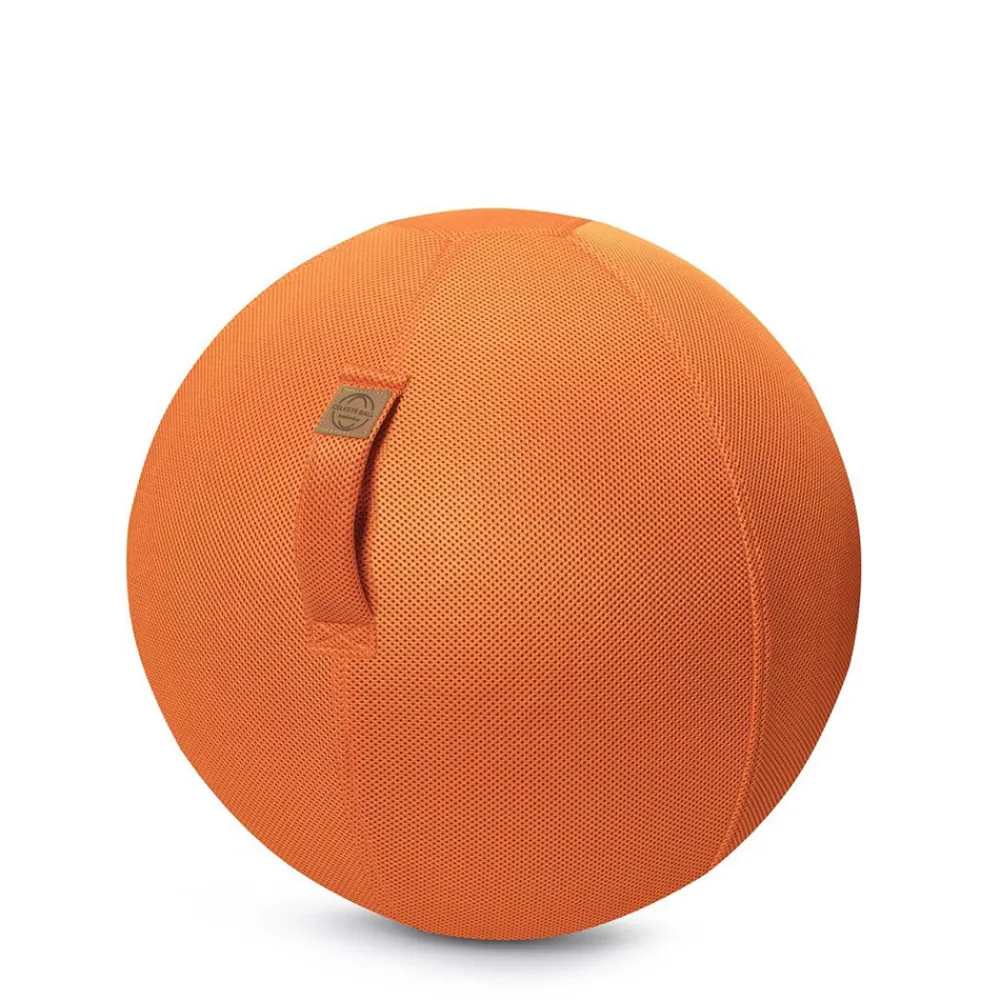 HOPTOYS Attention, Attention Divisee, Concentration<Sitting Ball Filet 65 Cm