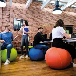 HOPTOYS Attention, Attention Divisee, Concentration<Sitting Ball Filet 65 Cm