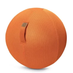 HOPTOYS Matériel Scolaire*Sitting Ball Filet 75 Cm