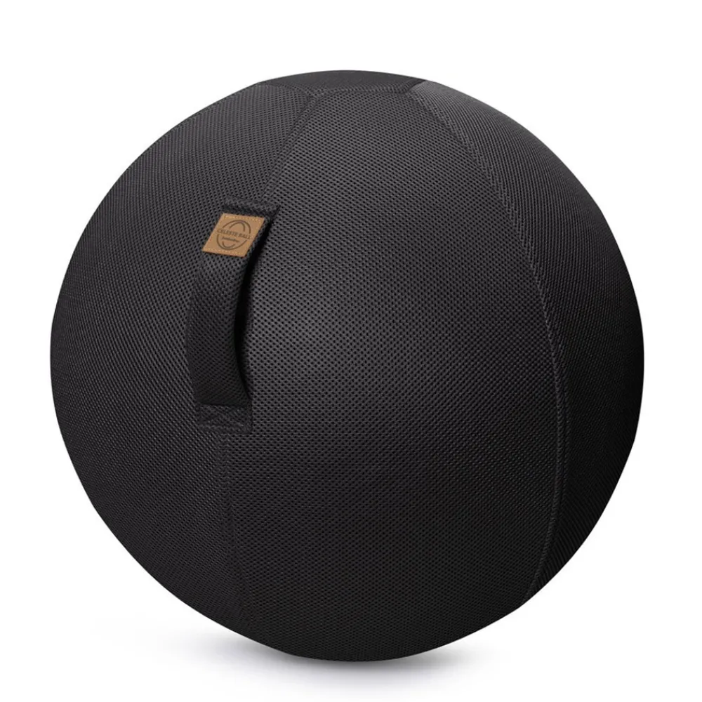 HOPTOYS Matériel Scolaire*Sitting Ball Filet 75 Cm